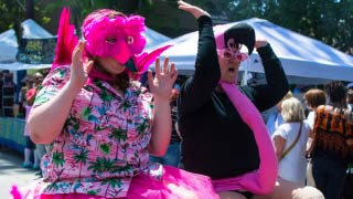 Flamingo Costume Parade Marchers